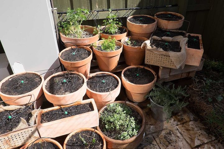Herb Pot Irrigation System